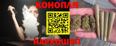 трава Партизанск