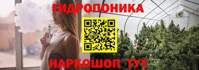 сатива Пенза