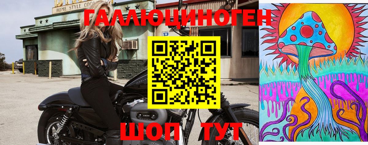 Псилоцибиновые грибы GOLDEN TEACHER Реутов