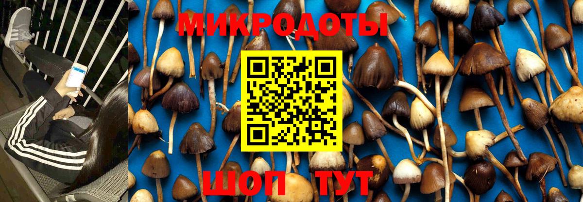 Галлюциногенные грибы Psilocybine cubensis  Вход с VPN  Реутов  Псилоцибиновые грибы мухоморы 